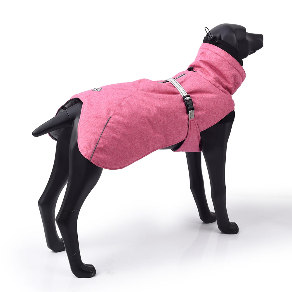 Large Pet Dog Jacket With Harness