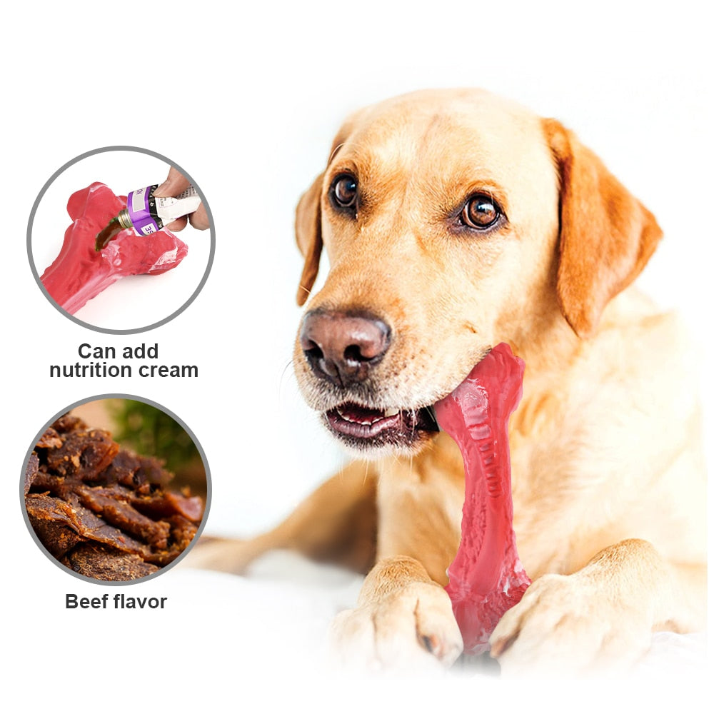 Dog Bone Chew Toy for Chewers