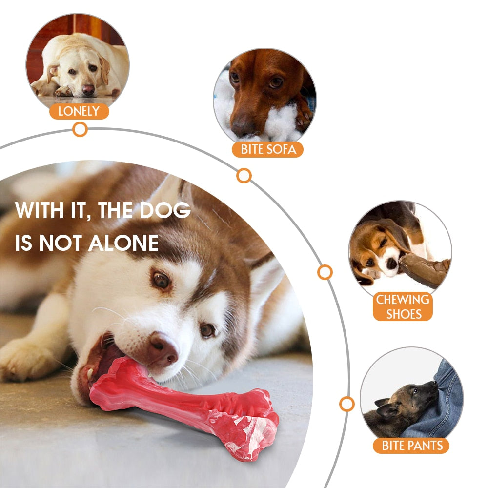 Dog Bone Chew Toy for Chewers