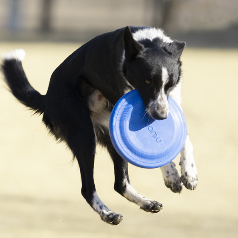 Flying Discs Pets Chew Toys Resistance Bite Soft EVA