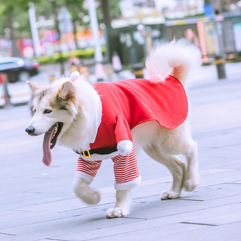 New Christmas Dog Clothes