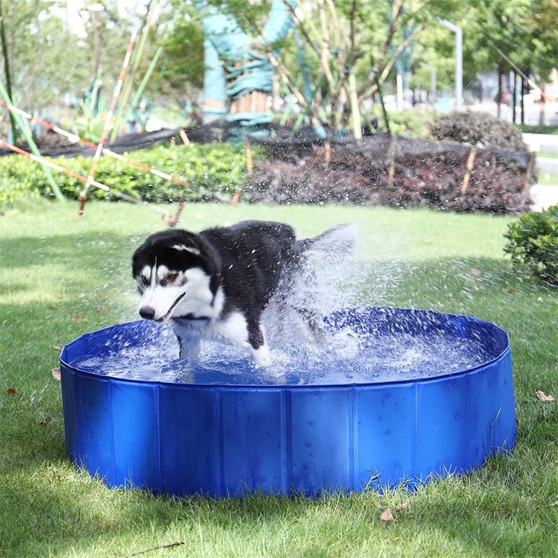 Fast Delivery Large PVC Foldable Round Pet Swimming Pool