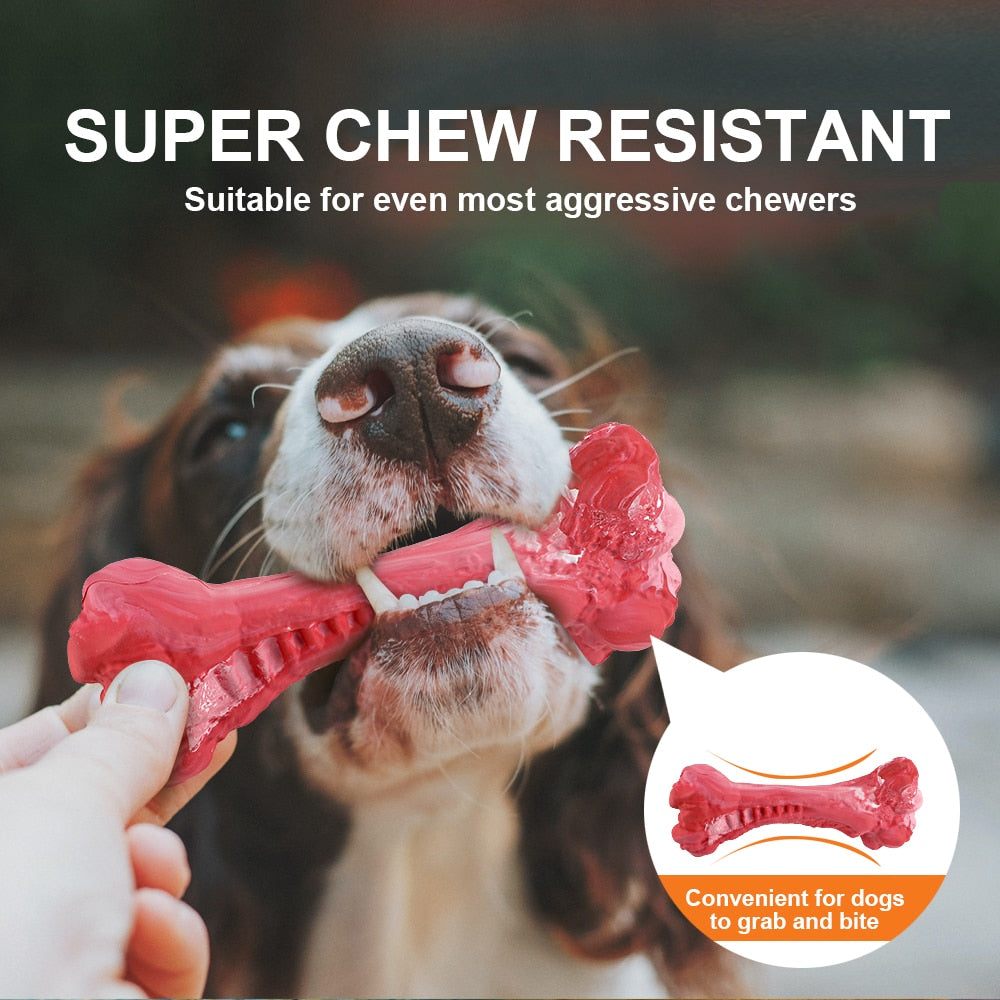 Dog Bone Chew Toy for Chewers