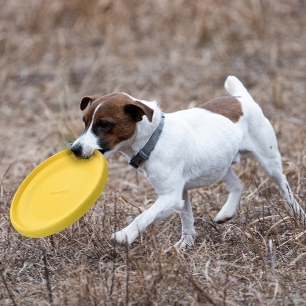 Flying Discs Pets Chew Toys Resistance Bite Soft EVA