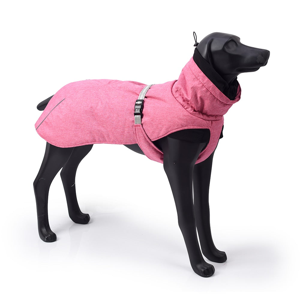 Large Pet Dog Jacket With Harness