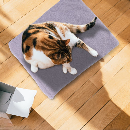 Portable USB  Plush Cats Heater Blanket