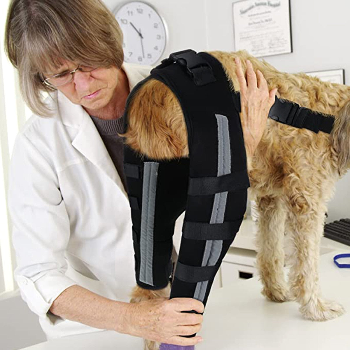 Dog Leg Knee Brace Straps Protection for Dogs Joint Bandage Wrap