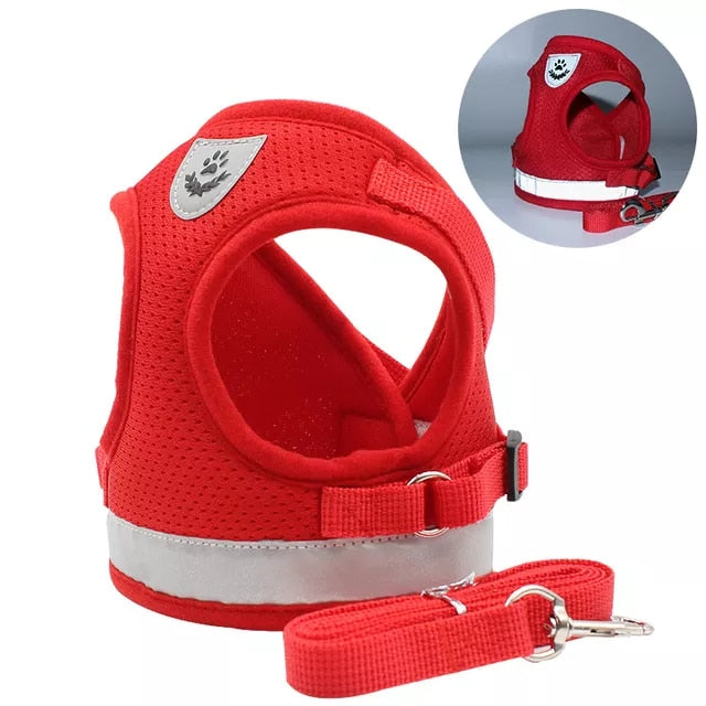 Breathable Cat Harness And Leash  Adjustable