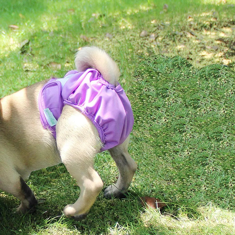 No Leak Reusable Diaper Shorts for Large Dogs