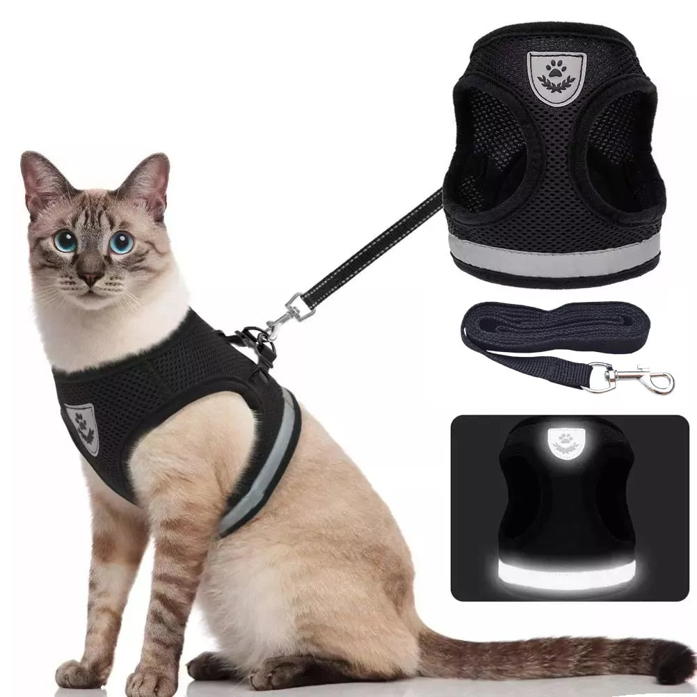 Breathable Cat Harness And Leash  Adjustable