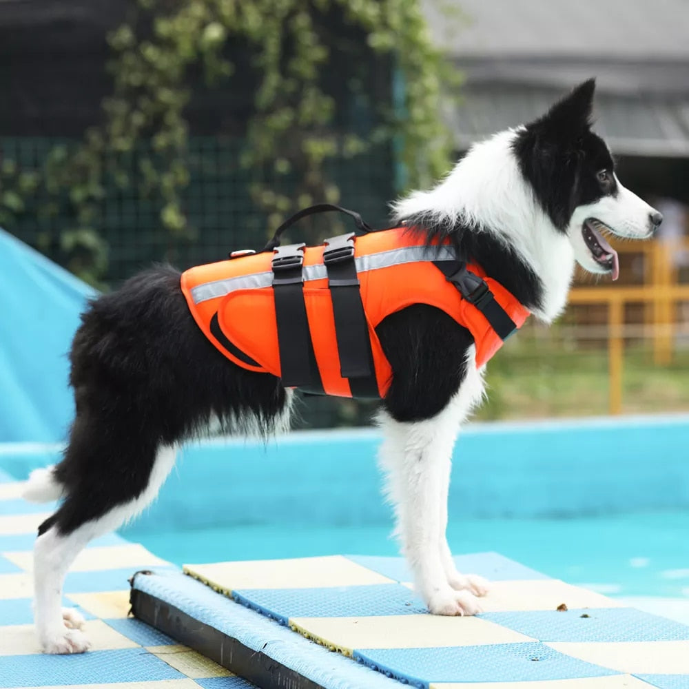 Yellow Dog Life Jacket Vest   Husky French Bulldog Shepherd