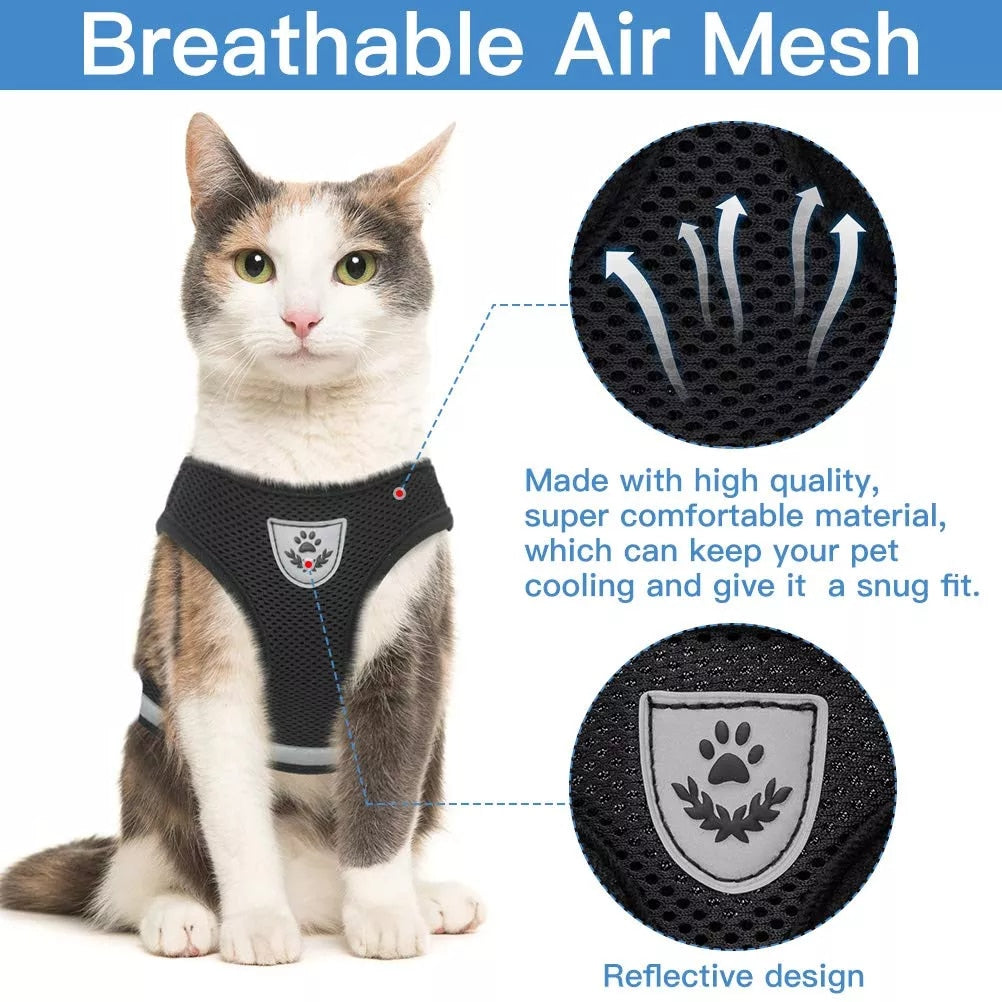 Breathable Cat Harness And Leash  Adjustable