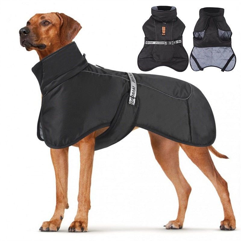 Large Dog Winter Clothes