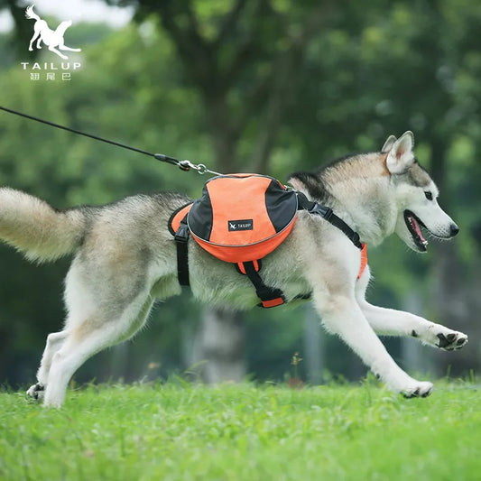 TAILUP  Large Capacity Dog Adjustable Saddle Bag