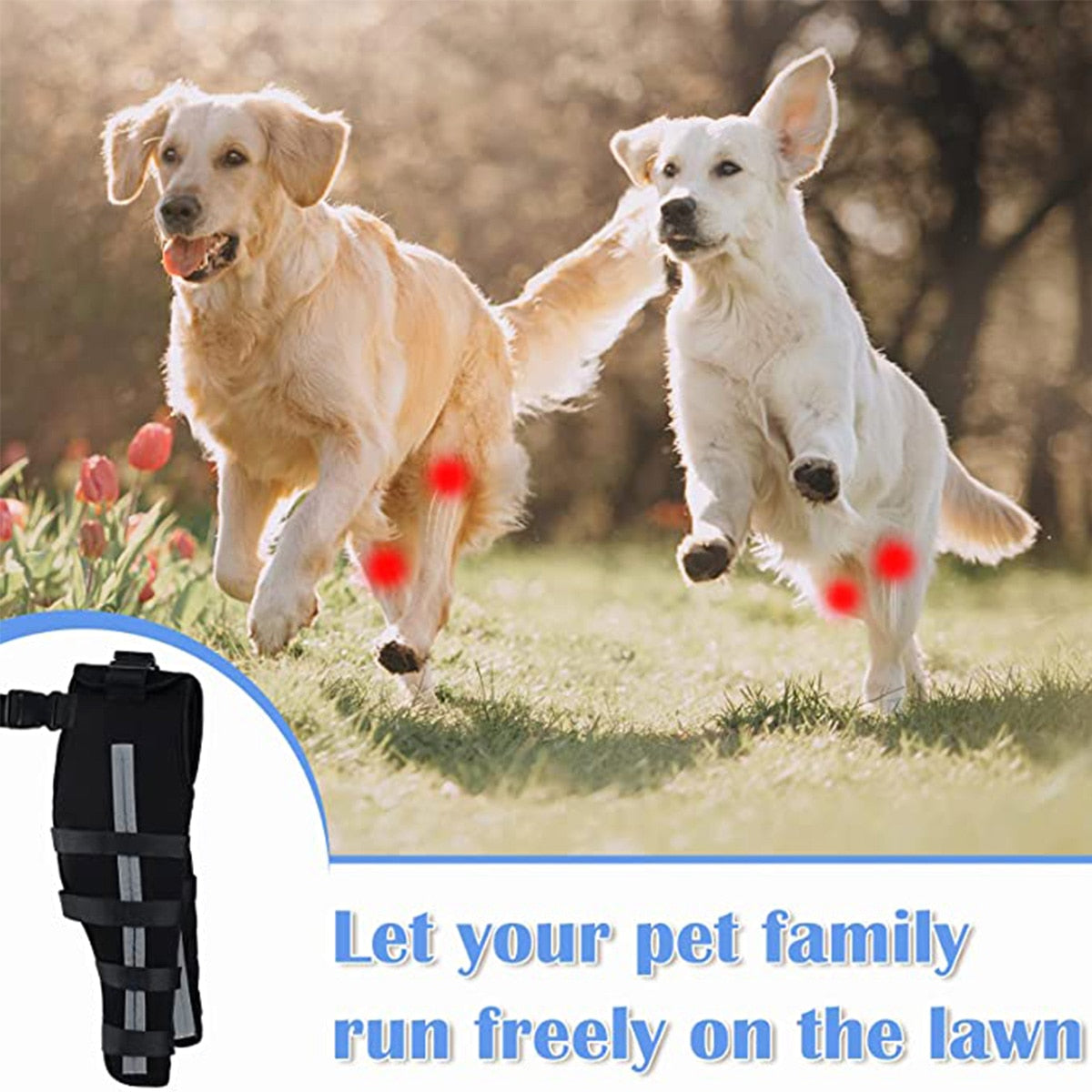 Dog Leg Knee Brace Straps Protection for Dogs Joint Bandage Wrap