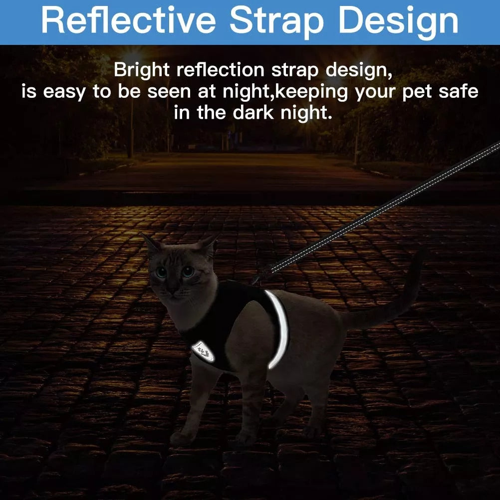 Breathable Cat Harness And Leash  Adjustable