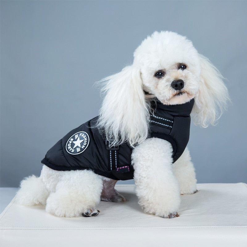 Cotton-padded Waterproof Pet Winter Two-legged Dog Clothes Jacket S-2XL Clothes